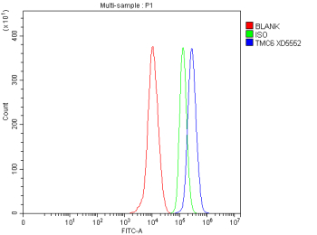 Flow Cytometry analysis of THP-1 cells using anti-TMC6 antibody. Overlay histogram showing THP-1 cells stained with (Blue line). To facilitate intracellular staining, cells were fixed with 4% paraformaldehyde and permeabilized with permeabilization buffer. The cells were blocked with 10% normal goat serum. And then incubated with rabbit anti-TMC6 antibody (1 ug/million cells) for 30 min at 20oC. DyLight 488 conjugated goat anti-rabbit IgG (5-10 ug/million cells) was used as secondary antibody for 30 minutes at 20oC. Isotype control antibody (Green line) was rabbit IgG (1 ug/million cells) used under the same conditions. Unlabelled sample without incubation with primary antibody and secondary antibody (Red line) was used as a blank control.