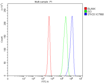 Flow Cytometry analysis of 293T cells using anti-STK33 antibody. Overlay histogram showing 293T cells stained with (Blue line). To facilitate intracellular staining, cells were fixed with 4% paraformaldehyde and permeabilized with permeabilization buffer. The cells were blocked with 10% normal goat serum. And then incubated with rabbit anti-STK33 antibody (1 ug/million cells) for 30 min at 20oC. DyLight 488 conjugated goat anti-rabbit IgG (5-10 ug/million cells) was used as secondary antibody for 30 minutes at 20oC. Isotype control antibody (Green line) was rabbit IgG (1 ug/million cells) used under the same conditions. Unlabelled sample without incubation with primary antibody and secondary antibody (Red line) was used as a blank control.