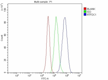 Flow Cytometry analysis of U87 cells using anti-RTF2 antibody. Overlay histogram showing U87 cells stained with (Blue line). To facilitate intracellular staining, cells were fixed with 4% paraformaldehyde and permeabilized with permeabilization buffer. The cells were blocked with 10% normal goat serum. And then incubated with rabbit anti-RTF2 antibody (1 ug/million cells) for 30 min at 20oC. DyLight 488 conjugated goat anti-rabbit IgG (5-10 ug/million cells) was used as secondary antibody for 30 minutes at 20oC. Isotype control antibody (Green line) was rabbit IgG (1 ug/million cells) used under the same conditions. Unlabelled sample without incubation with primary antibody and secondary antibody (Red line) was used as a blank control.