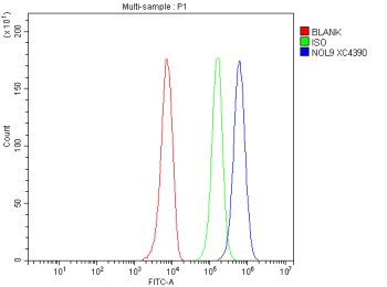 Flow Cytometry analysis of HepG2 cells using anti-NOL9 antibody. Overlay histogram showing HepG2 cells stained with (Blue line). To facilitate intracellular staining, cells were fixed with 4% paraformaldehyde and permeabilized with permeabilization buffer. The cells were blocked with 10% normal goat serum. And then incubated with rabbit anti-NOL9 antibody (1 ug/million cells) for 30 min at 20oC. DyLight 488 conjugated goat anti-rabbit IgG (5-10 ug/million cells) was used as secondary antibody for 30 minutes at 20oC. Isotype control antibody (Green line) was rabbit IgG (1 ug/million cells) used under the same conditions. Unlabelled sample without incubation with primary antibody and secondary antibody (Red line) was used as a blank control.