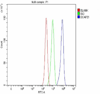 Flow Cytometry analysis of cells using anti-BCAP29 antibody. Overlay histogram showing cells stained with (Blue line). To facilitate intracellular staining, cells were fixed with 4% paraformaldehyde and permeabilized with permeabilization buffer. The cells were blocked with 10% normal goat serum. And then incubated with rabbit anti-BCAP29 antibody (1 ug/million cells) for 30 min at 20oC. DyLight 488 conjugated goat anti-rabbit IgG (5-10 ug/million cells) was used as secondary antibody for 30 minutes at 20oC. Isotype control antibody (Green line) was rabbit IgG (1 ug/million cells) used under the same conditions. Unlabelled sample without incubation with primary antibody and secondary antibody (Red line) was used as a blank control.