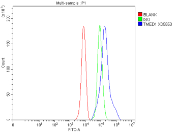 Flow Cytometry analysis of HepG2 cells using anti-TMED1 antibody. Overlay histogram showing HepG2 cells stained with (Blue line). The cells were fixed with 4% paraformaldehyde and blocked with 10% normal goat serum. And then incubated with rabbit anti-TMED1 antibody (1 ug/million cells) for 30 min at 20oC. DyLight 488 conjugated goat anti-rabbit IgG (5-10 ug/million cells) was used as secondary antibody for 30 minutes at 20oC. Isotype control antibody (Green line) was rabbit IgG (1 ug/million cells) used under the same conditions. Unlabelled sample without incubation with primary antibody and secondary antibody (Red line) was used as a blank control.
