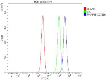 Flow Cytometry analysis of Jurkat cells using anti-PARP15 antibody. Overlay histogram showing Jurkat cells stained with (Blue line). To facilitate intracellular staining, cells were fixed with 4% paraformaldehyde and permeabilized with permeabilization buffer. The cells were blocked with 10% normal goat serum. And then incubated with rabbit anti-PARP15 antibody (1 ug/million cells) for 30 min at 20oC. DyLight 488 conjugated goat anti-rabbit IgG (5-10 ug/million cells) was used as secondary antibody for 30 minutes at 20oC. Isotype control antibody (Green line) was rabbit IgG (1 ug/million cells) used under the same conditions. Unlabelled sample without incubation with primary antibody and secondary antibody (Red line) was used as a blank control.