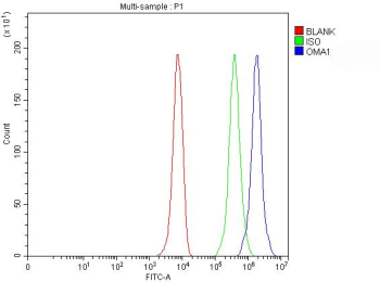 Flow Cytometry analysis of HepG2 cells using anti-OMA1 antibody. Overlay histogram showing HepG2 cells stained with (Blue line). To facilitate intracellular staining, cells were fixed with 4% paraformaldehyde and permeabilized with permeabilization buffer. The cells were blocked with 10% normal goat serum. And then incubated with rabbit anti-OMA1 antibody (1 ug/million cells) for 30 min at 20oC. DyLight 488 conjugated goat anti-rabbit IgG (5-10 ug/million cells) was used as secondary antibody for 30 minutes at 20oC. Isotype control antibody (Green line) was rabbit IgG (1 ug/million cells) used under the same conditions. Unlabelled sample without incubation with primary antibody and secondary antibody (Red line) was used as a blank control.