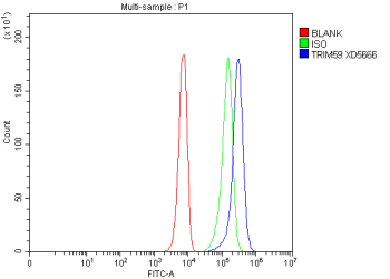 Flow Cytometry analysis of K562 cells using anti-TRIM59 antibody. Overlay histogram showing K562 cells stained with (Blue line). To facilitate intracellular staining, cells were fixed with 4% paraformaldehyde and permeabilized with permeabilization buffer. The cells were blocked with 10% normal goat serum. And then incubated with rabbit anti-TRIM59 antibody (1 ug/million cells) for 30 min at 20oC. DyLight 488 conjugated goat anti-rabbit IgG (5-10 ug/million cells) was used as secondary antibody for 30 minutes at 20oC. Isotype control antibody (Green line) was rabbit IgG (1 ug/million cells) used under the same conditions. Unlabelled sample without incubation with primary antibody and secondary antibody (Red line) was used as a blank control.
