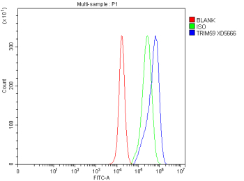 Flow Cytometry analysis of PC-3 cells using anti-TRIM59 antibody. Overlay histogram showing PC-3 cells stained with (Blue line). To facilitate intracellular staining, cells were fixed with 4% paraformaldehyde and permeabilized with permeabilization buffer. The cells were blocked with 10% normal goat serum. And then incubated with rabbit anti-TRIM59 antibody (1 ug/million cells) for 30 min at 20oC. DyLight 488 conjugated goat anti-rabbit IgG (5-10 ug/million cells) was used as secondary antibody for 30 minutes at 20oC. Isotype control antibody (Green line) was rabbit IgG (1 ug/million cells) used under the same conditions. Unlabelled sample without incubation with primary antibody and secondary antibody (Red line) was used as a blank control.