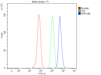 Flow Cytometry analysis of HepG2 cells using anti-PPP1R8 antibody. Overlay histogram showing HepG2 cells stained with (Blue line). To facilitate intracellular staining, cells were fixed with 4% paraformaldehyde and permeabilized with permeabilization buffer. The cells were blocked with 10% normal goat serum. And then incubated with rabbit anti-PPP1R8 antibody (1 ug/million cells) for 30 min at 20oC. DyLight 488 conjugated goat anti-rabbit IgG (5-10 ug/million cells) was used as secondary antibody for 30 minutes at 20oC. Isotype control antibody (Green line) was rabbit IgG (1 ug/million cells) used under the same conditions. Unlabelled sample without incubation with primary antibody and secondary antibody (Red line) was used as a blank control.