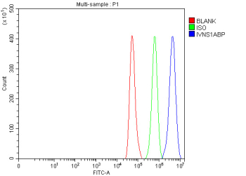 Flow cytometry analysis of fixed and permeabilized human HeLa cells with IVNS1ABP antibody at 1ug/million cells (blocked with goat sera); Red=cells alone, Green=isotype control, Blue= IVNS1ABP antibody.