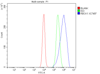Flow Cytometry analysis of cells using anti-RBCK1 antibody. Overlay histogram showing cells stained with (Blue line). To facilitate intracellular staining, cells were fixed with 4% paraformaldehyde and permeabilized with permeabilization buffer. The cells were blocked with 10% normal goat serum. And then incubated with rabbit anti-RBCK1 antibody (1 ug/million cells) for 30 min at 20oC. DyLight 488 conjugated goat anti-rabbit IgG (5-10 ug/million cells) was used as secondary antibody for 30 minutes at 20oC. Isotype control antibody (Green line) was rabbit IgG (1 ug/million cells) used under the same conditions. Unlabelled sample without incubation with primary antibody and secondary antibody (Red line) was used as a blank control.