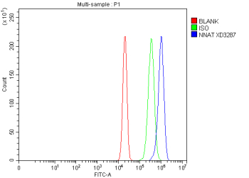 Flow Cytometry analysis of RT4 cells using anti-Neuronatin antibody. Overlay histogram showing RT4 cells stained with (Blue line). To facilitate intracellular staining, cells were fixed with 4% paraformaldehyde and permeabilized with permeabilization buffer. The cells were blocked with 10% normal goat serum. And then incubated with rabbit anti-Neuronatin antibody (1 ug/million cells) for 30 min at 20oC. DyLight 488 conjugated goat anti-rabbit IgG (5-10 ug/million cells) was used as secondary antibody for 30 minutes at 20oC. Isotype control antibody (Green line) was rabbit IgG (1 ug/million cells) used under the same conditions. Unlabelled sample without incubation with primary antibody and secondary antibody (Red line) was used as a blank control.