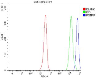 Flow Cytometry analysis of JK cells using anti-PSTPIP1 antibody. Overlay histogram showing JK cells stained with (Blue line). To facilitate intracellular staining, cells were fixed with 4% paraformaldehyde and permeabilized with permeabilization buffer. The cells were blocked with 10% normal goat serum. And then incubated with rabbit anti-PSTPIP1 antibody (1 ug/million cells) for 30 min at 20oC. DyLight 488 conjugated goat anti-rabbit IgG (5-10 ug/million cells) was used as secondary antibody for 30 minutes at 20oC. Isotype control antibody (Green line) was rabbit IgG (1 ug/million cells) used under the same conditions. Unlabelled sample (Red line) was also used as a control.