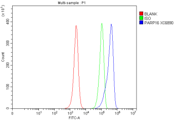 Flow Cytometry analysis of HL-60 cells using anti-PARP16 antibody. Overlay histogram showing HL-60 cells stained with (Blue line). To facilitate intracellular staining, cells were fixed with 4% paraformaldehyde and permeabilized with permeabilization buffer. The cells were blocked with 10% normal goat serum. And then incubated with rabbit anti-PARP16 antibody (1 ug/million cells) for 30 min at 20oC. DyLight 488 conjugated goat anti-rabbit IgG (5-10 ug/million cells) was used as secondary antibody for 30 minutes at 20oC. Isotype control antibody (Green line) was rabbit IgG (1 ug/million cells) used under the same conditions. Unlabelled sample without incubation with primary antibody and secondary antibody (Red line) was used as a blank control.