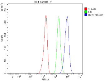 Flow Cytometry analysis of U251 cells using anti-TSR1 antibody. Overlay histogram showing U251 cells stained with (Blue line). To facilitate intracellular staining, cells were fixed with 4% paraformaldehyde and permeabilized with permeabilization buffer. The cells were blocked with 10% normal goat serum. And then incubated with rabbit anti-TSR1 antibody (1 ug/million cells) for 30 min at 20oC. DyLight 488 conjugated goat anti-rabbit IgG (5-10 ug/million cells) was used as secondary antibody for 30 minutes at 20oC. Isotype control antibody (Green line) was rabbit IgG (1 ug/million cells) used under the same conditions. Unlabelled sample without incubation with primary antibody and secondary antibody (Red line) was used as a blank control.