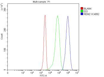Flow Cytometry analysis of Jurkat cells using anti-REM2 antibody. Overlay histogram showing Jurkat cells stained with (Blue line). The cells were fixed with 4% paraformaldehyde and blocked with 10% normal goat serum. And then incubated with rabbit anti-REM2 antibody (1 ug/million cells) for 30 min at 20oC. DyLight 488 conjugated goat anti-rabbit IgG (5-10 ug/million cells) was used as secondary antibody for 30 minutes at 20oC. Isotype control antibody (Green line) was rabbit IgG (1 ug/million cells) used under the same conditions. Unlabelled sample without incubation with primary antibody and secondary antibody (Red line) was used as a blank control.