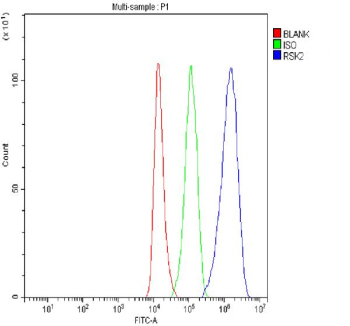 Flow Cytometry analysis of 293T cells using anti-RPS6KA3 antibody. Overlay histogram showing 293T cells stained with (Blue line). To facilitate intracellular staining, cells were fixed with 4% paraformaldehyde and permeabilized with permeabilization buffer. The cells were blocked with 10% normal goat serum. And then incubated with rabbit anti-RPS6KA3 antibody (1 ug/million cells) for 30 min at 20oC. DyLight 488 conjugated goat anti-rabbit IgG (5-10 ug/million cells) was used as secondary antibody for 30 minutes at 20oC. Isotype control antibody (Green line) was rabbit IgG (1 ug/million cells) used under the same conditions. Unlabelled sample without incubation with primary antibody and secondary antibody (Red line) was used as a blank control.