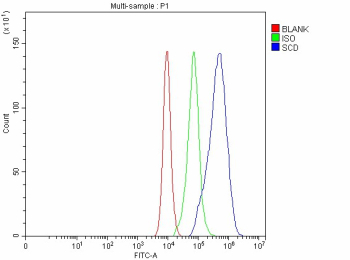 Flow Cytometry analysis of Caco-2 cells using anti-SCD1 antibody. Overlay histogram showing Caco-2 cells stained with (Blue line). To facilitate intracellular staining, cells were fixed with 4% paraformaldehyde and permeabilized with permeabilization buffer. The cells were blocked with 10% normal goat serum. And then incubated with rabbit anti-SCD1 antibody (1 ug/million cells) for 30 min at 20oC. DyLight 488 conjugated goat anti-rabbit IgG (5-10 ug/million cells) was used as secondary antibody for 30 minutes at 20oC. Isotype control antibody (Green line) was rabbit IgG (1 ug/million cells) used under the same conditions. Unlabelled sample without incubation with primary antibody and secondary antibody (Red line) was used as a blank control.
