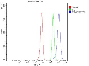 Flow Cytometry analysis of HepG2 cells using anti-TPD52 antibody. Overlay histogram showing HepG2 cells stained with (Blue line). To facilitate intracellular staining, cells were fixed with 4% paraformaldehyde and permeabilized with permeabilization buffer. The cells were blocked with 10% normal goat serum. And then incubated with rabbit anti-TPD52 antibody (1 ug/million cells) for 30 min at 20oC. DyLight 488 conjugated goat anti-rabbit IgG (5-10 ug/million cells) was used as secondary antibody for 30 minutes at 20oC. Isotype control antibody (Green line) was rabbit IgG (1 ug/million cells) used under the same conditions. Unlabelled sample without incubation with primary antibody and secondary antibody (Red line) was used as a blank control.