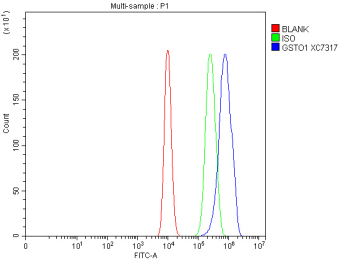 Flow Cytometry analysis of C2C12 cells using anti-GSTO1 antibody. Overlay histogram showing C2C12 cells stained with (Blue line). To facilitate intracellular staining, cells were fixed with 4% paraformaldehyde and permeabilized with permeabilization buffer. The cells were blocked with 10% normal goat serum. And then incubated with rabbit anti-GSTO1 antibody (1 ug/million cells) for 30 min at 20oC. DyLight 488 conjugated goat anti-rabbit IgG (5-10 ug/million cells) was used as secondary antibody for 30 minutes at 20oC. Isotype control antibody (Green line) was rabbit IgG (1 ug/million cells) used under the same conditions. Unlabelled sample without incubation with primary antibody and secondary antibody (Red line) was used as a blank control.