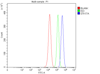 Flow Cytometry analysis of PC-3 cells using anti-STK17A antibody. Overlay histogram showing PC-3 cells stained with (Blue line). To facilitate intracellular staining, cells were fixed with 4% paraformaldehyde and permeabilized with permeabilization buffer. The cells were blocked with 10% normal goat serum. And then incubated with rabbit anti-STK17A antibody (1 ug/million cells) for 30 min at 20oC. DyLight 488 conjugated goat anti-rabbit IgG (5-10 ug/million cells) was used as secondary antibody for 30 minutes at 20oC. Isotype control antibody (Green line) was rabbit IgG (1 ug/million cells) used under the same conditions. Unlabelled sample without incubation with primary antibody and secondary antibody (Red line) was used as a blank control.