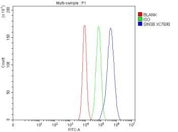 Flow Cytometry analysis of Caco-2 cells using anti-SIN3B antibody. Overlay histogram showing Caco-2 cells stained with (Blue line). To facilitate intracellular staining, cells were fixed with 4% paraformaldehyde and permeabilized with permeabilization buffer. The cells were blocked with 10% normal goat serum. And then incubated with rabbit anti-SIN3B antibody (1 ug/million cells) for 30 min at 20oC. DyLight 488 conjugated goat anti-rabbit IgG (5-10 ug/million cells) was used as secondary antibody for 30 minutes at 20oC. Isotype control antibody (Green line) was rabbit IgG (1 ug/million cells) used under the same conditions. Unlabelled sample without incubation with primary antibody and secondary antibody (Red line) was used as a blank control.