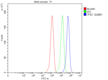 Flow Cytometry analysis of THP-1 cells using anti-TFEC antibody. Overlay histogram showing THP-1 cells stained with (Blue line). To facilitate intracellular staining, cells were fixed with 4% paraformaldehyde and permeabilized with permeabilization buffer. The cells were blocked with 10% normal goat serum. And then incubated with rabbit anti-TFEC antibody (1 ug/million cells) for 30 min at 20oC. DyLight 488 conjugated goat anti-rabbit IgG (5-10 ug/million cells) was used as secondary antibody for 30 minutes at 20oC. Isotype control antibody (Green line) was rabbit IgG (1 ug/million cells) used under the same conditions. Unlabelled sample without incubation with primary antibody and secondary antibody (Red line) was used as a blank control.