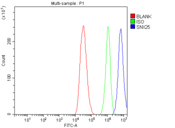 Flow Cytometry analysis of HepG2 cells using anti-SNX25 antibody. Overlay histogram showing HepG2 cells stained with (Blue line). The cells were fixed with 4% paraformaldehyde and blocked with 10% normal goat serum. And then incubated with rabbit anti-SNX25 antibody (1 ug/million cells) for 30 min at 20oC. DyLight 488 conjugated goat anti-rabbit IgG (5-10 ug/million cells) was used as secondary antibody for 30 minutes at 20oC. Isotype control antibody (Green line) was rabbit IgG (1 ug/million cells) used under the same conditions. Unlabelled sample (Red line) was also used as a control.
