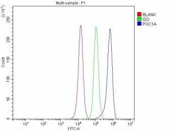 Flow Cytometry analysis of PC-3 cells using anti-POC1A antibody. Overlay histogram showing PC-3 cells stained with (Blue line). To facilitate intracellular staining, cells were fixed with 4% paraformaldehyde and permeabilized with permeabilization buffer. The cells were blocked with 10% normal goat serum. And then incubated with rabbit anti-POC1A antibody (1 ug/million cells) for 30 min at 20oC. DyLight 488 conjugated goat anti-rabbit IgG (5-10 ug/million cells) was used as secondary antibody for 30 minutes at 20oC. Isotype control antibody (Green line) was rabbit IgG (1 ug/million cells) used under the same conditions. Unlabelled sample without incubation with primary antibody and secondary antibody (Red line) was used as a blank control.