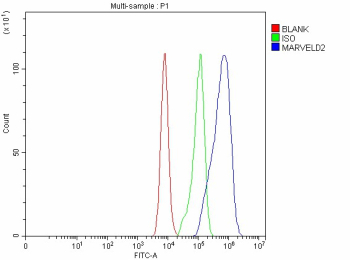 Flow Cytometry analysis of Caco-2 cells using anti-MARVELD2 antibody. Overlay histogram showing Caco-2 cells stained with (Blue line). The cells were fixed with 4% paraformaldehyde and blocked with 10% normal goat serum. And then incubated with rabbit anti-MARVELD2 antibody (1 ug/million cells) for 30 min at 20oC. DyLight 488 conjugated goat anti-rabbit IgG (5-10 ug/million cells) was used as secondary antibody for 30 minutes at 20oC. Isotype control antibody (Green line) was rabbit IgG (1 ug/million cells) used under the same conditions. Unlabelled sample without incubation with primary antibody and secondary antibody (Red line) was used as a blank control.