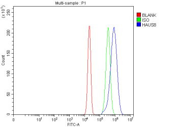 Flow Cytometry analysis of MCF-7 cells using anti-HAUS8 antibody. Overlay histogram showing MCF-7 cells stained with (Blue line). To facilitate intracellular staining, cells were fixed with 4% paraformaldehyde and permeabilized with permeabilization buffer. The cells were blocked with 10% normal goat serum. And then incubated with rabbit anti-HAUS8 antibody (1 ug/million cells) for 30 min at 20oC. DyLight 488 conjugated goat anti-rabbit IgG (5-10 ug/million cells) was used as secondary antibody for 30 minutes at 20oC. Isotype control antibody (Green line) was rabbit IgG (1 ug/million cells) used under the same conditions. Unlabelled sample without incubation with primary antibody and secondary antibody (Red line) was used as a blank control.