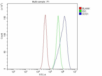 Flow Cytometry analysis of U87 cells using anti-SOS1 antibody. Overlay histogram showing U87 cells stained with (Blue line). The cells were fixed with 4% paraformaldehyde and blocked with 10% normal goat serum. And then incubated with rabbit anti-SOS1 antibody (1 ug/million cells) for 30 min at 20oC. DyLight 488 conjugated goat anti-rabbit IgG (5-10 ug/million cells) was used as secondary antibody for 30 minutes at 20oC. Isotype control antibody (Green line) was rabbit IgG (1 ug/million cells) used under the same conditions. Unlabelled sample without incubation with primary antibody and secondary antibody (Red line) was used as a blank control.