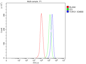 Flow Cytometry analysis of THP-1 cells using anti-TCIRG1 antibody. Overlay histogram showing THP-1 cells stained with (Blue line). The cells were fixed with 4% paraformaldehyde and blocked with 10% normal goat serum. And then incubated with rabbit anti-TCIRG1 antibody (1 ug/million cells) for 30 min at 20oC. DyLight 488 conjugated goat anti-rabbit IgG (5-10 ug/million cells) was used as secondary antibody for 30 minutes at 20oC. Isotype control antibody (Green line) was rabbit IgG (1 ug/million cells) used under the same conditions. Unlabelled sample without incubation with primary antibody and secondary antibody (Red line) was used as a blank control.