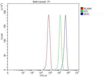 Flow Cytometry analysis of HepG2 cells using anti-MVK antibody. Overlay histogram showing HepG2 cells stained with (Blue line). To facilitate intracellular staining, cells were fixed with 4% paraformaldehyde and permeabilized with permeabilization buffer. The cells were blocked with 10% normal goat serum. And then incubated with rabbit anti-MVK antibody (1 ug/million cells) for 30 min at 20oC. DyLight 488 conjugated goat anti-rabbit IgG (5-10 ug/million cells) was used as secondary antibody for 30 minutes at 20oC. Isotype control antibody (Green line) was rabbit IgG (1 ug/million cells) used under the same conditions. Unlabelled sample without incubation with primary antibody and secondary antibody (Red line) was used as a blank control.
