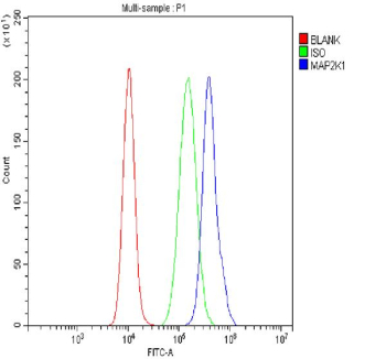 Flow Cytometry analysis of cells using anti-MAP2K1 antibody. Overlay histogram showing cells stained with (Blue line). To facilitate intracellular staining, cells were fixed with 4% paraformaldehyde and permeabilized with permeabilization buffer. The cells were blocked with 10% normal goat serum. And then incubated with rabbit anti-MAP2K1 antibody (1 ug/million cells) for 30 min at 20oC. DyLight 488 conjugated goat anti-rabbit IgG (5-10 ug/million cells) was used as secondary antibody for 30 minutes at 20oC. Isotype control antibody (Green line) was rabbit IgG (1 ug/million cells) used under the same conditions. Unlabelled sample without incubation with primary antibody and secondary antibody (Red line) was used as a blank control.
