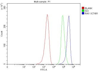 Flow Cytometry analysis of MCF-7 cells using anti-RAI1 antibody. Overlay histogram showing MCF-7 cells stained with (Blue line). To facilitate intracellular staining, cells were fixed with 4% paraformaldehyde and permeabilized with permeabilization buffer. The cells were blocked with 10% normal goat serum. And then incubated with rabbit anti-RAI1 antibody (1 ug/million cells) for 30 min at 20oC. DyLight 488 conjugated goat anti-rabbit IgG (5-10 ug/million cells) was used as secondary antibody for 30 minutes at 20oC. Isotype control antibody (Green line) was rabbit IgG (1 ug/million cells) used under the same conditions. Unlabelled sample without incubation with primary antibody and secondary antibody (Red line) was used as a blank control.