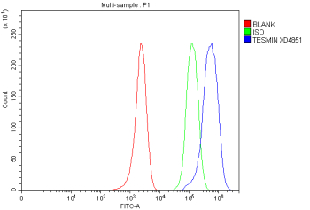 Flow Cytometry analysis of MCF-7 cells using anti-TESMIN antibody. Overlay histogram showing MCF-7 cells stained with (Blue line). To facilitate intracellular staining, cells were fixed with 4% paraformaldehyde and permeabilized with permeabilization buffer. The cells were blocked with 10% normal goat serum. And then incubated with rabbit anti-TESMIN antibody (1 ug/million cells) for 30 min at 20oC. DyLight 488 conjugated goat anti-rabbit IgG (5-10 ug/million cells) was used as secondary antibody for 30 minutes at 20oC. Isotype control antibody (Green line) was rabbit IgG (1 ug/million cells) used under the same conditions. Unlabelled sample without incubation with primary antibody and secondary antibody (Red line) was used as a blank control.