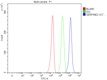 Flow Cytometry analysis of U251 cells using anti-SERPINE2 antibody. Overlay histogram showing U251 cells stained with (Blue line). The cells were fixed with 4% paraformaldehyde and blocked with 10% normal goat serum. And then incubated with rabbit anti-SERPINE2 antibody (1 ug/million cells) for 30 min at 20oC. DyLight 488 conjugated goat anti-rabbit IgG (5-10 ug/million cells) was used as secondary antibody for 30 minutes at 20oC. Isotype control antibody (Green line) was rabbit IgG (1 ug/million cells) used under the same conditions. Unlabelled sample without incubation with primary antibody and secondary antibody (Red line) was used as a blank control.