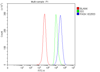 Flow Cytometry analysis of HeLa cells using anti-PASK antibody. Overlay histogram showing HeLa cells stained with (Blue line). To facilitate intracellular staining, cells were fixed with 4% paraformaldehyde and permeabilized with permeabilization buffer. The cells were blocked with 10% normal goat serum. And then incubated with rabbit anti-PASK antibody (1 ug/million cells) for 30 min at 20oC. DyLight 488 conjugated goat anti-rabbit IgG (5-10 ug/million cells) was used as secondary antibody for 30 minutes at 20oC. Isotype control antibody (Green line) was rabbit IgG (1 ug/million cells) used under the same conditions. Unlabelled sample without incubation with primary antibody and secondary antibody (Red line) was used as a blank control.