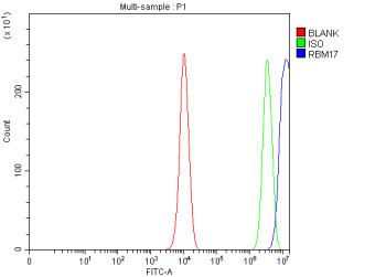 Flow Cytometry analysis of PC-3 cells using anti-RBM17 antibody. Overlay histogram showing PC-3 cells stained with (Blue line). To facilitate intracellular staining, cells were fixed with 4% paraformaldehyde and permeabilized with permeabilization buffer. The cells were blocked with 10% normal goat serum. And then incubated with rabbit anti-RBM17 antibody (1 ug/million cells) for 30 min at 20oC. DyLight 488 conjugated goat anti-rabbit IgG (5-10 ug/million cells) was used as secondary antibody for 30 minutes at 20oC. Isotype control antibody (Green line) was rabbit IgG (1 ug/million cells) used under the same conditions. Unlabelled sample (Red line) was also used as a control.