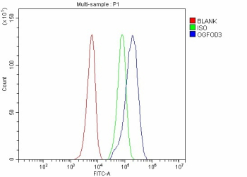 Flow Cytometry analysis of SiHa cells using anti-OGFOD3 antibody. Overlay histogram showing SiHa cells stained with (Blue line). The cells were fixed with 4% paraformaldehyde and blocked with 10% normal goat serum. And then incubated with rabbit anti-OGFOD3 antibody (1 ug/million cells) for 30 min at 20oC. DyLight 488 conjugated goat anti-rabbit IgG (5-10 ug/million cells) was used as secondary antibody for 30 minutes at 20oC. Isotype control antibody (Green line) was rabbit IgG (1 ug/million cells) used under the same conditions. Unlabelled sample without incubation with primary antibody and secondary antibody (Red line) was used as a blank control.