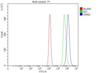Flow Cytometry analysis of HEL cells using anti-GNAI2 antibody. Overlay histogram showing HEL cells stained with (Blue line). To facilitate intracellular staining, cells were fixed with 4% paraformaldehyde and permeabilized with permeabilization buffer. The cells were blocked with 10% normal goat serum. And then incubated with rabbit anti-GNAI2 antibody (1 ug/million cells) for 30 min at 20oC. DyLight 488 conjugated goat anti-rabbit IgG (5-10 ug/million cells) was used as secondary antibody for 30 minutes at 20oC. Isotype control antibody (Green line) was rabbit IgG (1 ug/million cells) used under the same conditions. Unlabelled sample (Red line) was also used as a control.