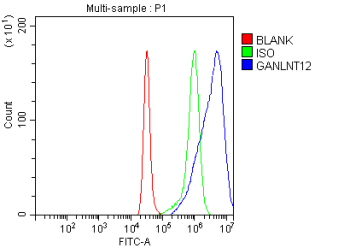 Flow Cytometry analysis of cells using anti-GALNT12 antibody. Overlay histogram showing cells stained with (Blue line). To facilitate intracellular staining, cells were fixed with 4% paraformaldehyde and permeabilized with permeabilization buffer. The cells were blocked with 10% normal goat serum. And then incubated with rabbit anti-GALNT12 antibody (1 ug/million cells) for 30 min at 20oC. DyLight 488 conjugated goat anti-rabbit IgG (5-10 ug/million cells) was used as secondary antibody for 30 minutes at 20oC. Isotype control antibody (Green line) was rabbit IgG (1 ug/million cells) used under the same conditions. Unlabelled sample (Red line) was also used as a control.