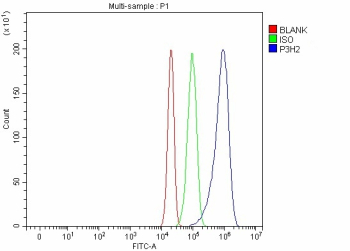 Flow Cytometry analysis of RT4 cells using anti-P3H2 antibody. Overlay histogram showing RT4 cells stained with (Blue line). To facilitate intracellular staining, cells were fixed with 4% paraformaldehyde and permeabilized with permeabilization buffer. The cells were blocked with 10% normal goat serum. And then incubated with rabbit anti-P3H2 antibody (1 ug/million cells) for 30 min at 20oC. DyLight 488 conjugated goat anti-rabbit IgG (5-10 ug/million cells) was used as secondary antibody for 30 minutes at 20oC. Isotype control antibody (Green line) was rabbit IgG (1 ug/million cells) used under the same conditions. Unlabelled sample without incubation with primary antibody and secondary antibody (Red line) was used as a blank control.