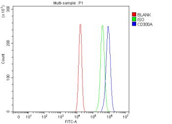 Flow Cytometry analysis of U20S cells using anti-CD300A antibody. Overlay histogram showing U20S cells stained with (Blue line). The cells were fixed with 4% paraformaldehyde and blocked with 10% normal goat serum. And then incubated with rabbit anti-CD300A antibody (1 ug/million cells) for 30 min at 20oC. DyLight 488 conjugated goat anti-rabbit IgG (5-10 ug/million cells) was used as secondary antibody for 30 minutes at 20oC. Isotype control antibody (Green line) was rabbit IgG (1 ug/million cells) used under the same conditions. Unlabelled sample (Red line) was also used as a control.