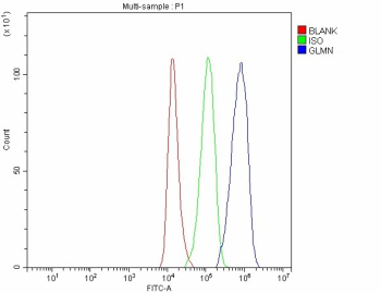 Flow Cytometry analysis of 293T cells using anti-GLMN antibody. Overlay histogram showing 293T cells stained with (Blue line). To facilitate intracellular staining, cells were fixed with 4% paraformaldehyde and permeabilized with permeabilization buffer. The cells were blocked with 10% normal goat serum. And then incubated with rabbit anti-GLMN antibody (1 ug/million cells) for 30 min at 20oC. DyLight 488 conjugated goat anti-rabbit IgG (5-10 ug/million cells) was used as secondary antibody for 30 minutes at 20oC. Isotype control antibody (Green line) was rabbit IgG (1 ug/million cells) used under the same conditions. Unlabelled sample without incubation with primary antibody and secondary antibody (Red line) was used as a blank control.