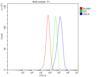 Flow Cytometry analysis of U87 cells using anti-SNCA antibody. Overlay histogram showing U87 cells stained with (Blue line). The cells were fixed with 4% paraformaldehyde and blocked with 10% normal goat serum. And then incubated with rabbit anti-SNCA antibody (1 ug/million cells) for 30 min at 20oC. DyLight 488 conjugated goat anti-rabbit IgG (5-10 ug/million cells) was used as secondary antibody for 30 minutes at 20oC. Isotype control antibody (Green line) was rabbit IgG (1 ug/million cells) used under the same conditions. Unlabelled sample without incubation with primary antibody and secondary antibody (Red line) was used as a blank control.