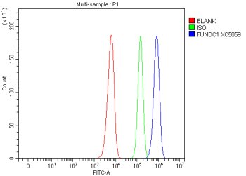 Flow Cytometry analysis of SiHa cells using anti-FUNDC1 antibody. Overlay histogram showing SiHa cells stained with (Blue line). To facilitate intracellular staining, cells were fixed with 4% paraformaldehyde and permeabilized with permeabilization buffer. The cells were blocked with 10% normal goat serum. And then incubated with rabbit anti-FUNDC1 antibody (1 ug/million cells) for 30 min at 20oC. DyLight 488 conjugated goat anti-rabbit IgG (5-10 ug/million cells) was used as secondary antibody for 30 minutes at 20oC. Isotype control antibody (Green line) was rabbit IgG (1 ug/million cells) used under the same conditions. Unlabelled sample without incubation with primary antibody and secondary antibody (Red line) was used as a blank control.