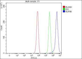Flow Cytometry analysis of K562 cells using anti-NUP98 antibody. Overlay histogram showing K562 cells stained with (Blue line). To facilitate intracellular staining, cells were fixed with 4% paraformaldehyde and permeabilized with permeabilization buffer. The cells were blocked with 10% normal goat serum. And then incubated with rabbit anti-NUP98 antibody (1 ug/million cells) for 30 min at 20oC. DyLight 488 conjugated goat anti-rabbit IgG (5-10 ug/million cells) was used as secondary antibody for 30 minutes at 20oC. Isotype control antibody (Green line) was rabbit IgG (1 ug/million cells) used under the same conditions. Unlabelled sample (Red line) was also used as a control.