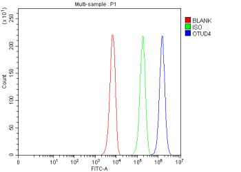 Flow Cytometry analysis of K562 cells using anti-OTUD4 antibody. Overlay histogram showing K562 cells stained with (Blue line). To facilitate intracellular staining, cells were fixed with 4% paraformaldehyde and permeabilized with permeabilization buffer. The cells were blocked with 10% normal goat serum. And then incubated with rabbit anti-OTUD4 antibody (1 ug/million cells) for 30 min at 20oC. DyLight 488 conjugated goat anti-rabbit IgG (5-10 ug/million cells) was used as secondary antibody for 30 minutes at 20oC. Isotype control antibody (Green line) was rabbit IgG (1 ug/million cells) used under the same conditions. Unlabelled sample without incubation with primary antibody and secondary antibody (Red line) was used as a blank control.