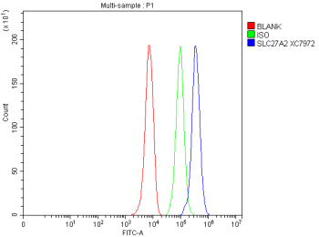 Flow Cytometry analysis of HepG2 cells using anti-SLC27A2 antibody. Overlay histogram showing HepG2 cells stained with (Blue line). The cells were fixed with 4% paraformaldehyde and blocked with 10% normal goat serum. And then incubated with rabbit anti-SLC27A2 antibody (1 ug/million cells) for 30 min at 20oC. DyLight 488 conjugated goat anti-rabbit IgG (5-10 ug/million cells) was used as secondary antibody for 30 minutes at 20oC. Isotype control antibody (Green line) was rabbit IgG (1 ug/million cells) used under the same conditions. Unlabelled sample without incubation with primary antibody and secondary antibody (Red line) was used as a blank control.