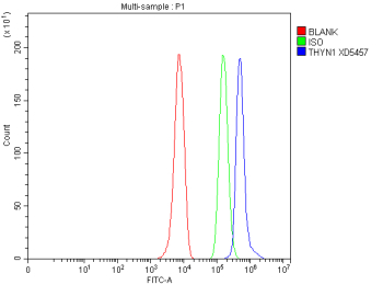 Flow Cytometry analysis of HepG2 cells using anti-THYN1 antibody. Overlay histogram showing HepG2 cells stained with (Blue line). To facilitate intracellular staining, cells were fixed with 4% paraformaldehyde and permeabilized with permeabilization buffer. The cells were blocked with 10% normal goat serum. And then incubated with rabbit anti-THYN1 antibody (1 ug/million cells) for 30 min at 20oC. DyLight 488 conjugated goat anti-rabbit IgG (5-10 ug/million cells) was used as secondary antibody for 30 minutes at 20oC. Isotype control antibody (Green line) was rabbit IgG (1 ug/million cells) used under the same conditions. Unlabelled sample without incubation with primary antibody and secondary antibody (Red line) was used as a blank control.